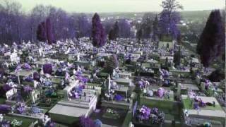 preview picture of video 'Cmentarz  Ropczyce + muzyka'