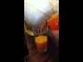 How To Drink SunKist
