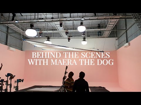 Behind the scenes with 'Maera' the dog.