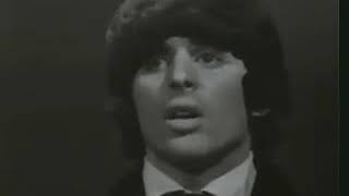 Beau Brummels &quot;You Tell Me Why&quot; Shindig