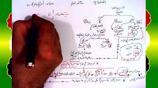 صورة 22 √ أمر الأفعال الخمسة