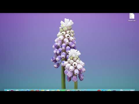 How to Add Shadow On View In IOS Swift 4.2 and XCode 10.1