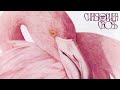 Christopher Cross - Nature of the Game (Official Lyric Video)