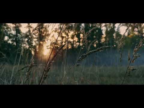 User submitted video