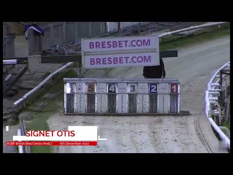 BGBF British Bred Derby Heat 3 - Signet Otis