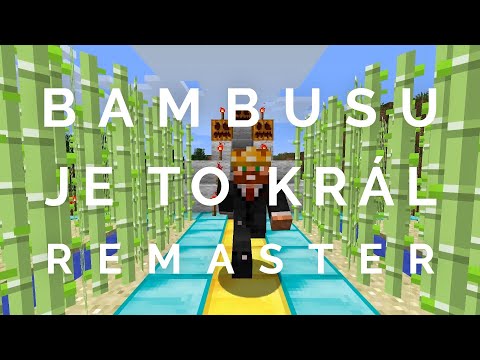 BAMBUSU JE TO KRÁL (remaster) – Wadní bratři