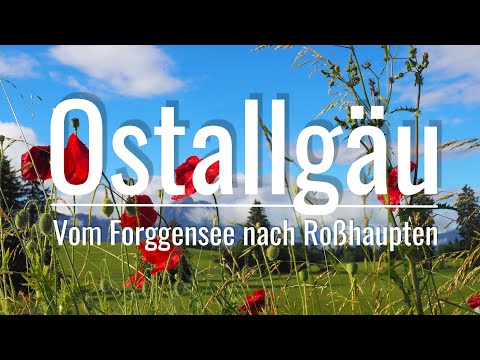 Ostallgäu - Panoramawandern vom Forggensee nach Roßhaupten