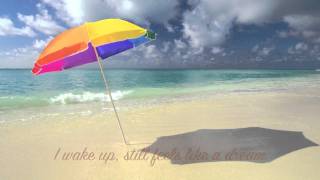 Late Night Alumni - Of Birds, Bees, Butterflies etc. Lyric Video