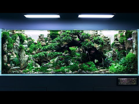 THE 450 LITERS CONTEST-LEVEL AQUASCAPE AT GREEN AQUA - 4K CINEMATIC