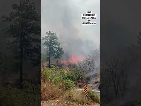 Incendios forestales en Salama Baja Verapaz