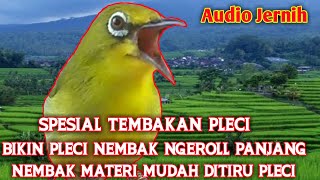 Download lagu Masteran Pleci Spesial Tembakan Bikin Pleci Nembak Ngeroll Panjang Mudah ditiru Pleci mp3