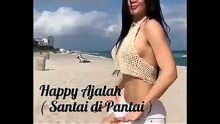 Happy Ajalah (Santai)_ DJ Qhelfin ft.Gafar / Lirik Vidio