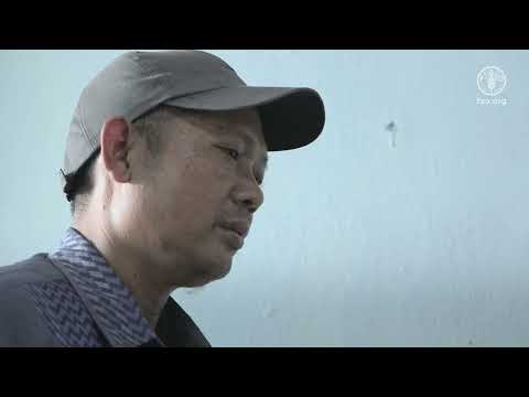 Post-harvest trainings: The basket rental system in a cooperative unit in Central Java