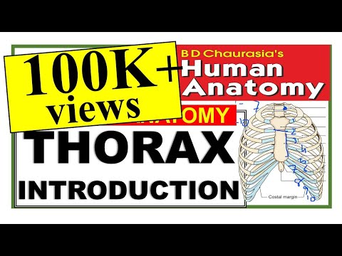 Chp12 | THORAX Introduction | Chest Wall | BD Chaurasia Vol1| Thoracic Cage | Dr Asif Lectures