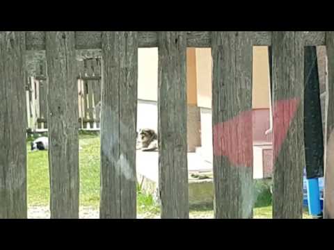 Najlepšia reakcia na prebudenie / best woke up ever