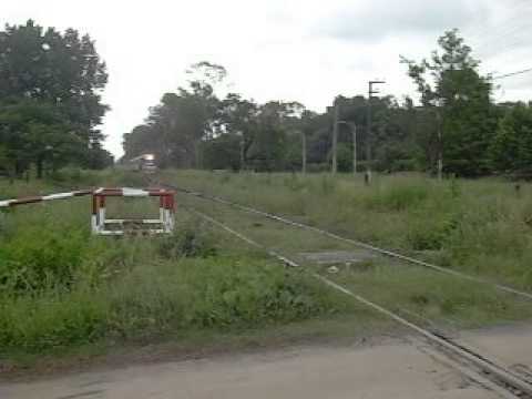 GM GR-12 6626 en cercanías de F. Alvarez (23-11-2009)