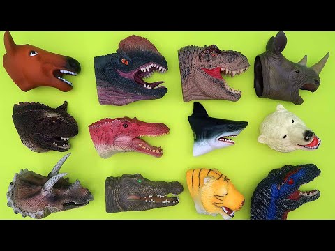 6 Dinosaur Head - Jurassic World Dinosaur Lego Transformer Dinosaurs Heads 공룡 머리 변신