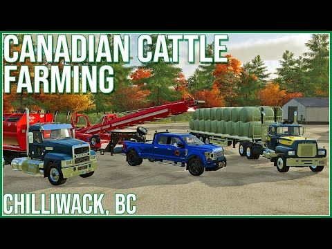 First feed mix with Maize+ - The Canadian Cattle Farmer - Episode 13
