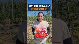 창고에 토마토즙이 산처럼 쌓였습니다…
