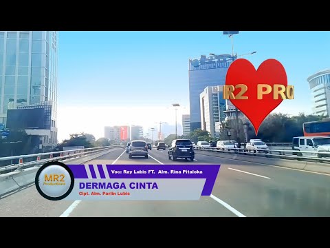 Lagu Tapsel | Dermaga Cinta | Ray Lubis FT. Alm. Rina Pitaloka
