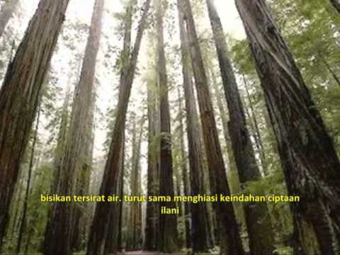 Download Damai 3gp Mp4 Codedfilm