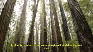 Download lagu Damai - Nowseeheart mp3 Download lagu Damai - Nowseeheart mp3