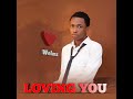 Welmz – Loving You (Official Audio)