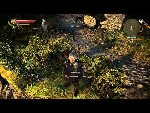 Let's Play The Witcher 2 #060 [Deutsch] - Der Weg nach Vergen!