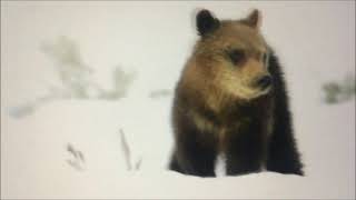 Breaking Benjamin: Lie To Me (Official Video)