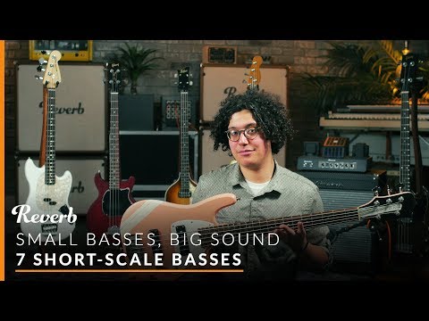 Are Short-Scale Basses Having a Moment? 7 Awesome Options | Reverb