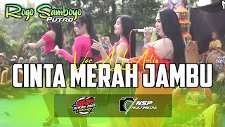 Download lagu Cinta Merah Jambu ROGO SAMBOYO PUTRO Voc ALL Artis Live Plemahan mp3