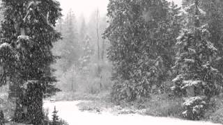 Fast Falling Snow 1080p Hd Without Music - 4 hours