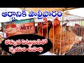 Business ideas in telugu | Nest organic poultry farm with low investment | organic