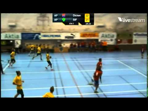 AP-final 29.3.2015 Fille Söderlund 23 - 21