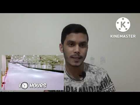 Hunted 100 People For $1,000,000 review