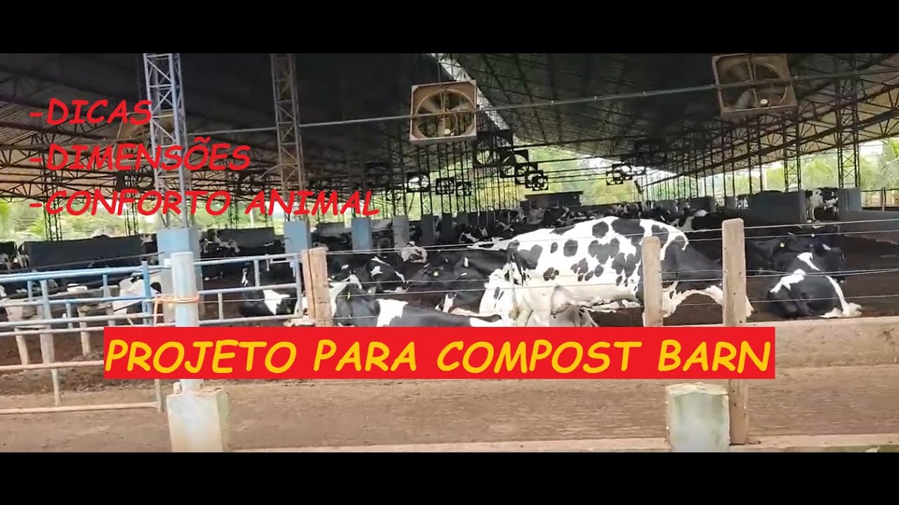 🐮DICAS E DIMENSÕES PARA BONS PROJETOS DE COMPOST BARN (BAIA MATERNIDADE E SALA DE RESFRIAMENTO)🐮