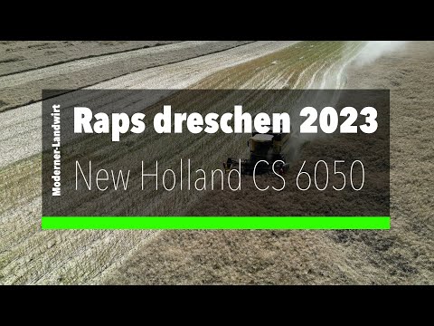 Raps dreschen 2023  - New Holland CS 6050 Mähdrescher