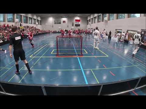 Unihockey Basel Regio - UHC Thun 7.4.2019