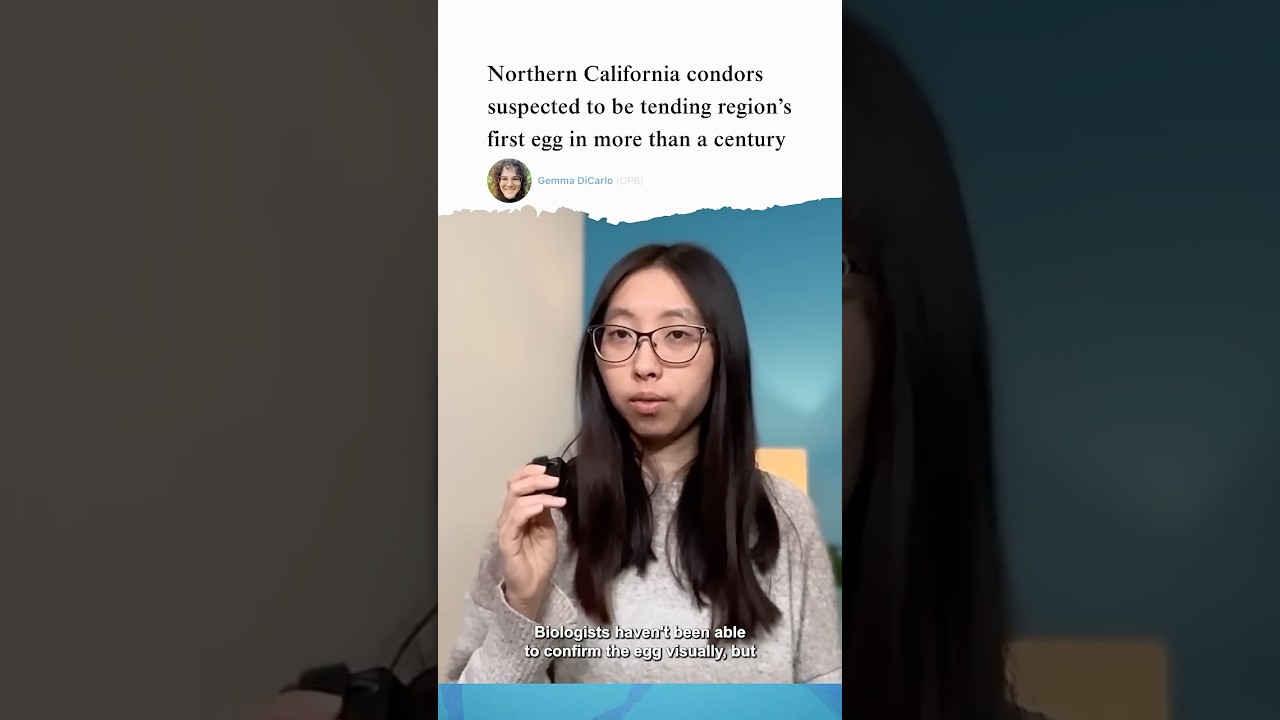 OPB's It's Been a Week 4/10/26  🚙🧅🪶