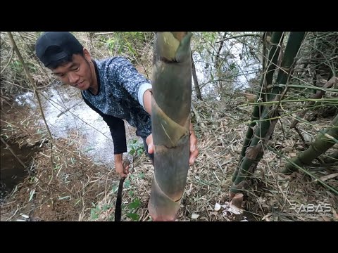 EP697-P1 - Labong Forage and Cook | Masayang Kwentuhan