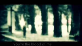 HEATHER NOVA Blood of me (unofficial video with lyrics)