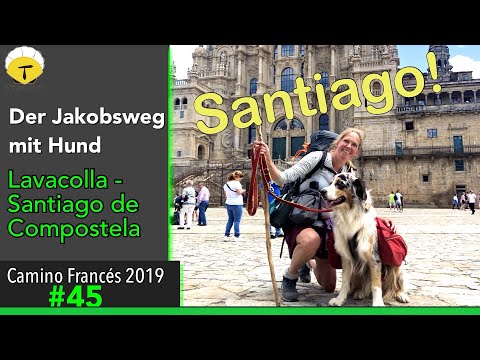 Der Jakobsweg von Lavacolla nach Santiago - Doku 2019 (4K) [Der große Tag ist da!] |#Camino Francés