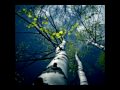 Fading Colours - Spring (Nosferatu Mix) 