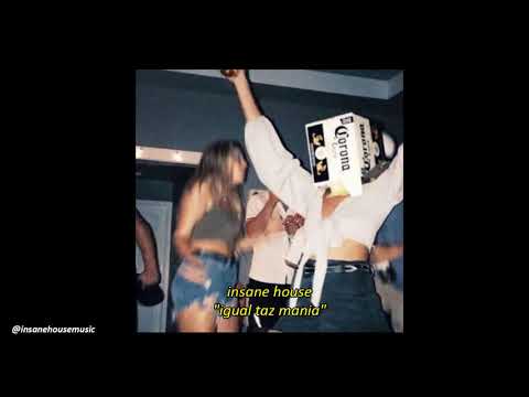 INSANE HOUSE - Igual Taz Mania