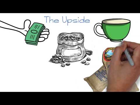 Is Jamaica Blue Mountain Coffee Worth the Price?