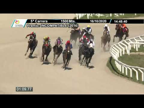 201016 c05 - QUE AGUANTE 1° - HIPODROMO LAS PIEDRAS