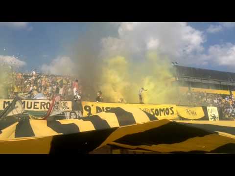 "Fiesta en la salida del equipo canario!!! 13/11/12" Barra: La Barra de Flandria &bull; Club: Flandria