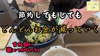 出ていく額が多すぎて数年後不安になる。家計簿見直しなんとか生きていかねば