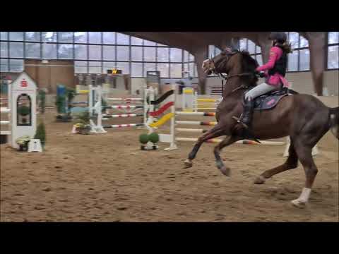 Malu (12) und Zappa - A** in Kamen am 20.11.2021