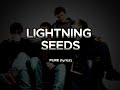 LIGHTNING SEEDS - PURE lyrics HD